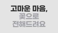 이벤트이미지