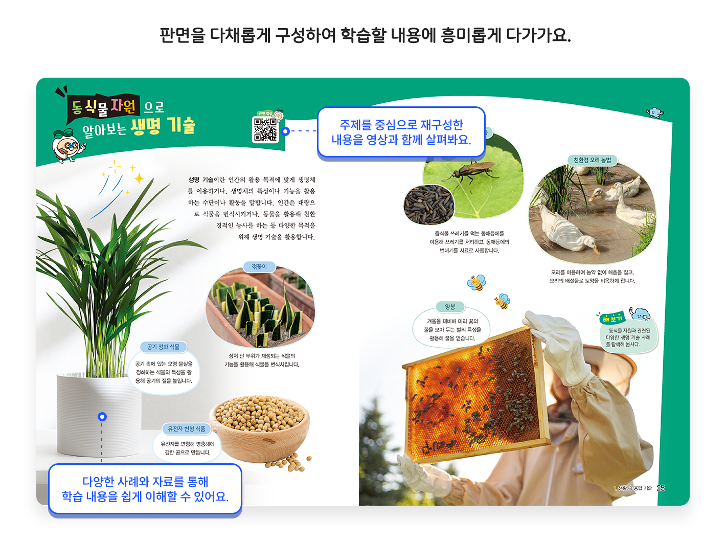 교과서소개_특집페이지1.png