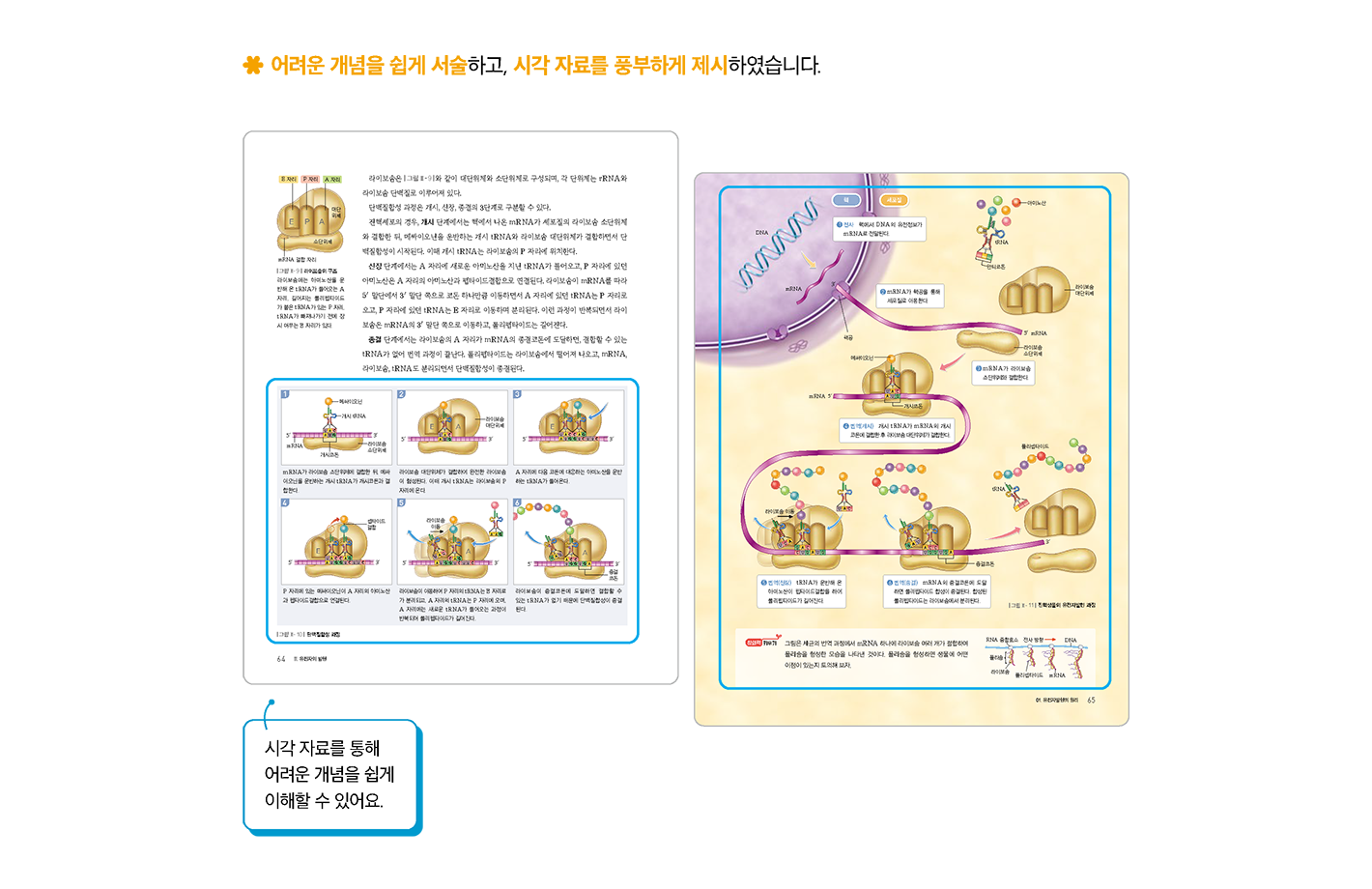 교과서특장점_2_1.png