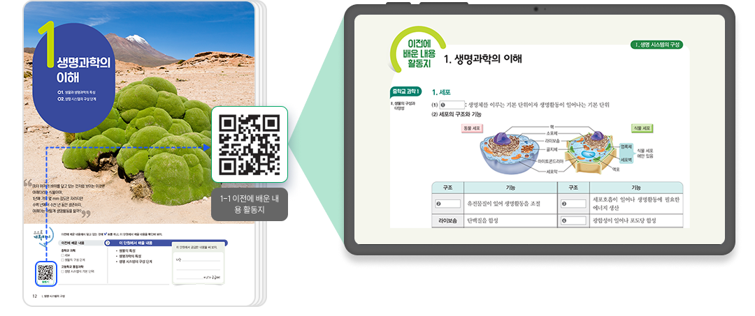 생명과학_QR3.png
