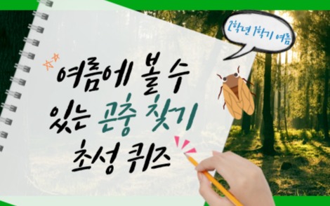 즐거운 여름 나기